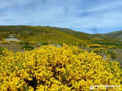 Pico del Zapatero, Sierra de la Paramera; viajes programados por españa; single madrid grupos